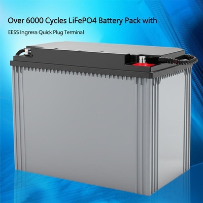 Mehr als 6000 Zyklen LiFePO4 Batteriepaket mit IP65 Einbruchschutz und EES-6mm Schnellstecker