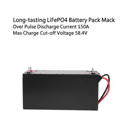 Langlebiger LiFePO4-Akku mit mehr als 6000 Zyklen Max.Pulsausladeströmung 150A Max.Ladebeschaltungsspannung 58,4V