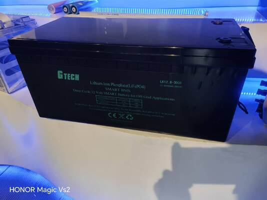 12.8V LiFePO4-Batterie