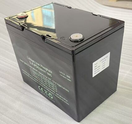 12.8V LiFePO4 battery